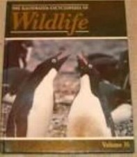 Orbis : The Illustrated