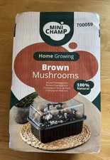 Mini champ brown - mini, mushroom