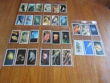 GRANDEE   cigarette cards full