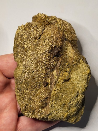Large inch triceratops - large, ~4.5