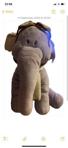 Rare disney winnie the - winnie,