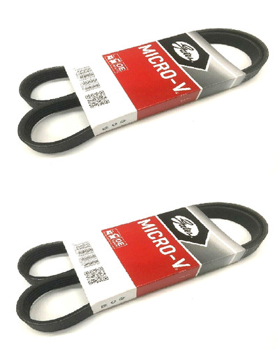 Gates drive belt - gates,