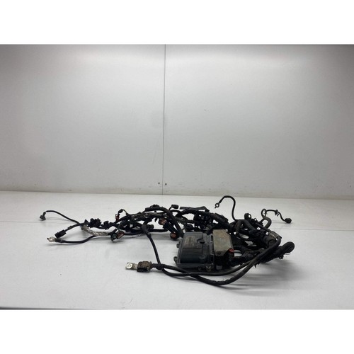 Ford focus engine ecu - focus, &