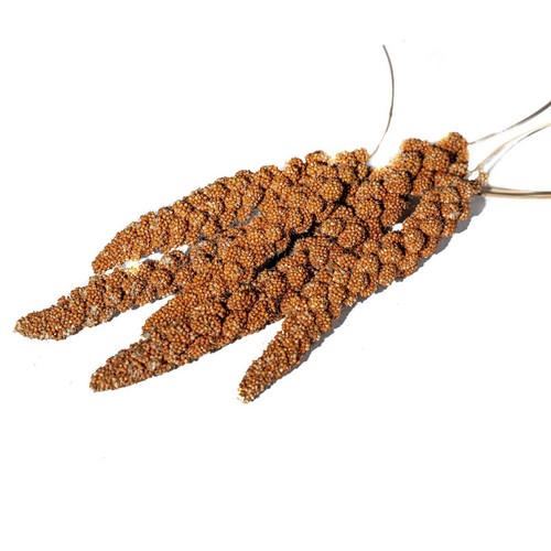 Red millet spray 100g - millet,