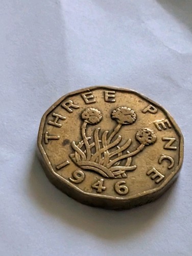 1946 king george brass - george,