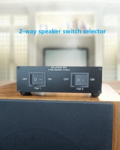 Premium zone speaker - premium, 2