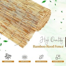 Thick bamboo - 3m,4m,5m,