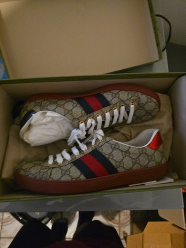 Gucci ace supreme beige - ace,