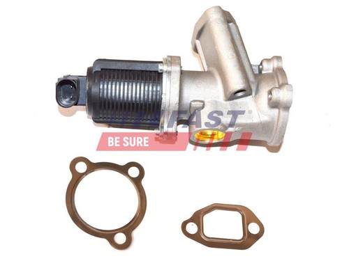 Fast ft60204 egr - fast,
