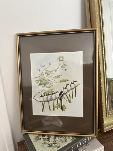 Vintage framed john gould - john,