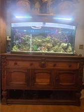 Large fish tank with antique