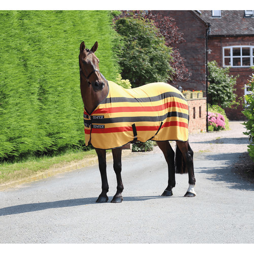 Shires tempest original - shires,