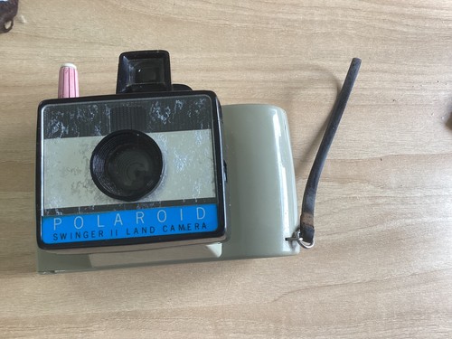 Polaroid swinger land - 2,