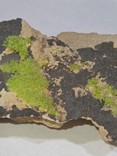 Green Pyromorphite Crystal