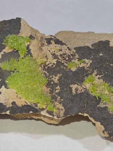 Green pyromorphite crystal - green,