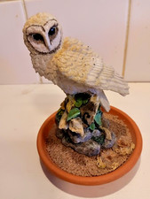Country Artists 'Barn Owl'