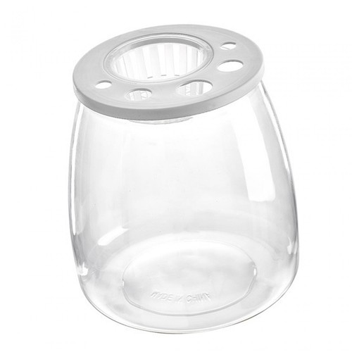 Fish bowl - fish, table