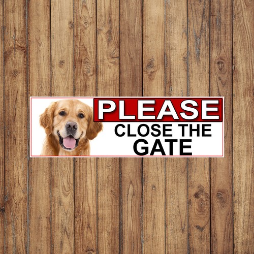 Golden retriever please close - please,
