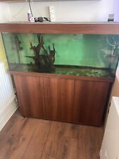 Juwel Rio 240 Aquarium