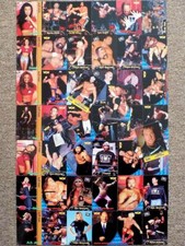 WCW nWo 1998 TOPPS WRESTLING
