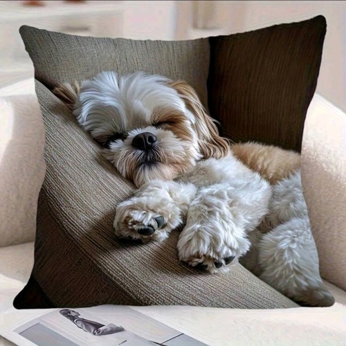 Cute sleeping shih tzu dog - sleeping,