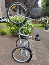 Single Speed Adult Trike