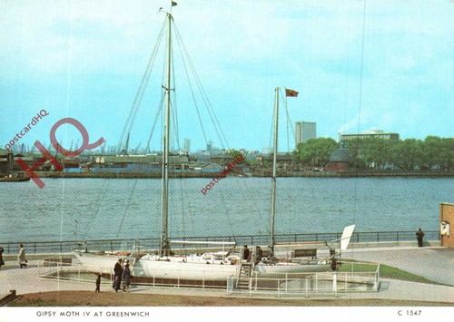 Picture postcard gipsy moth - postcard-:gipsy,