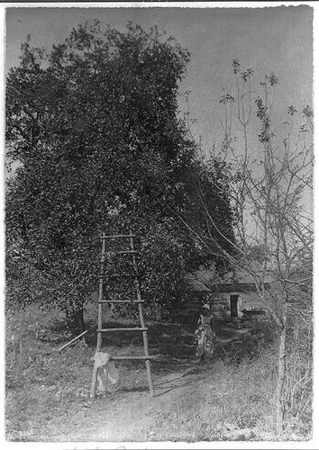 Photo western north carolina - photo:western,