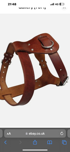 Leather dog harness - leather,