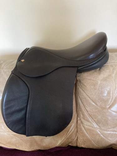 Black country working hunter - black,
