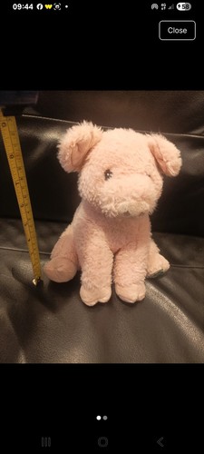 Your planet pig soft toy - pig,