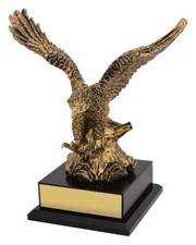 SOARING SUCESS TROPHY