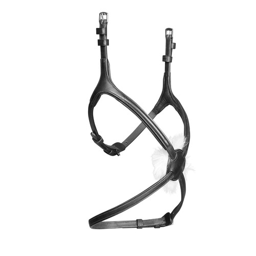 Shires velociti rapida grackle - velociti,