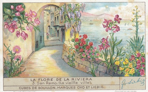 Liebig cards s1354 - liebig,
