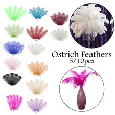 Large Long Ostrich Feathers