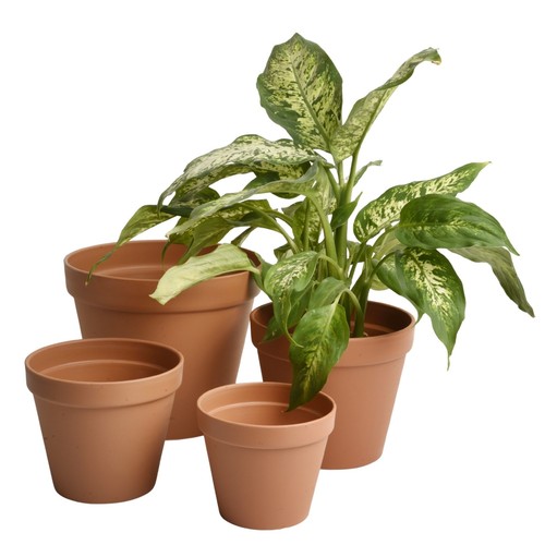 Round plant pot planter - plant,