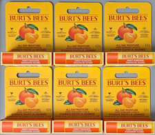 🌟 6x Burt’s Bees Sweet