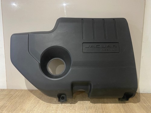 Jaguar pace ingenuim - jaguar,