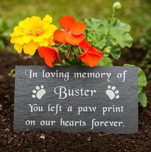 Personalised engraved pet - personalised,