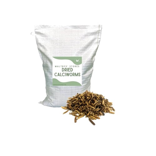 Black soldier fly larvae 2kg - soldier,