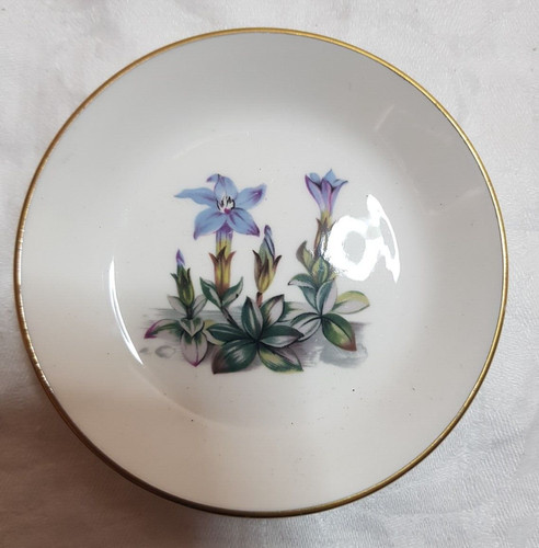 Royal worcester china pin - worcester,,