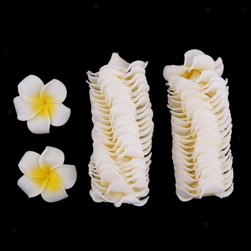 Pieces artificial foam - 50,