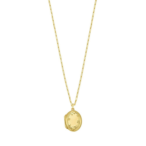 Oval vine locket necklace - vine,