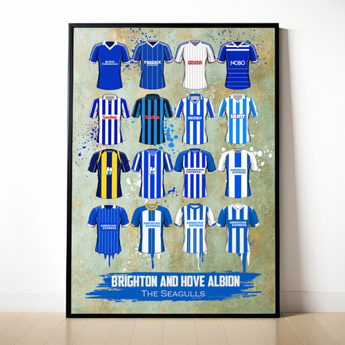 Brighton and hove albion - hove,