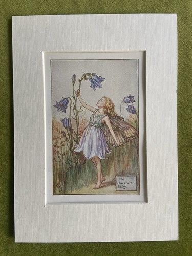 Harebell flower fairy - ‘harebell’,