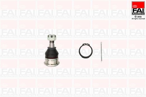 Fai front lower - lower, for