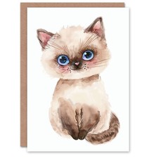 Cute Ragdoll Kitten Fluffy Cat