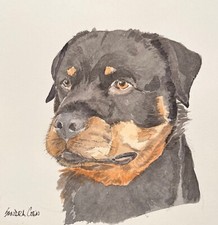 Rottweiler Original Watercolor