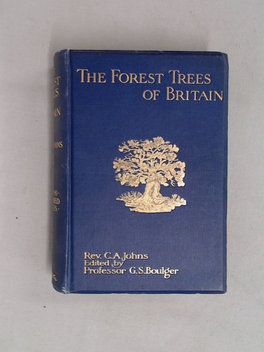 The forest trees britain - the,
