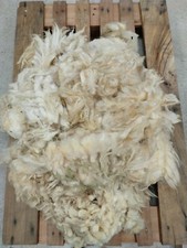 Soft Pure Shetland Fleece